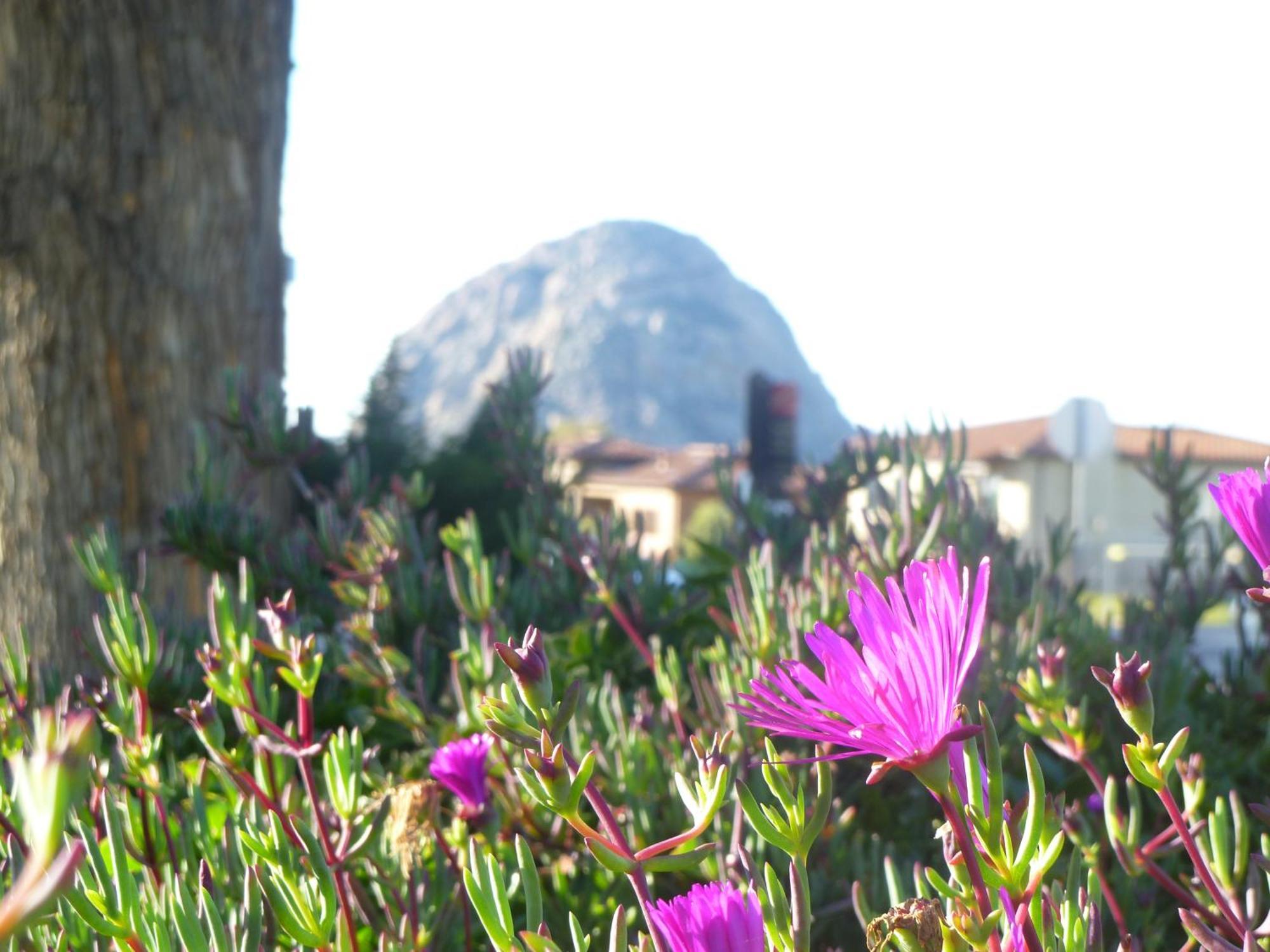 Where to Stay Near Morro Bay State Park: 5 Best 2-Star Hotels