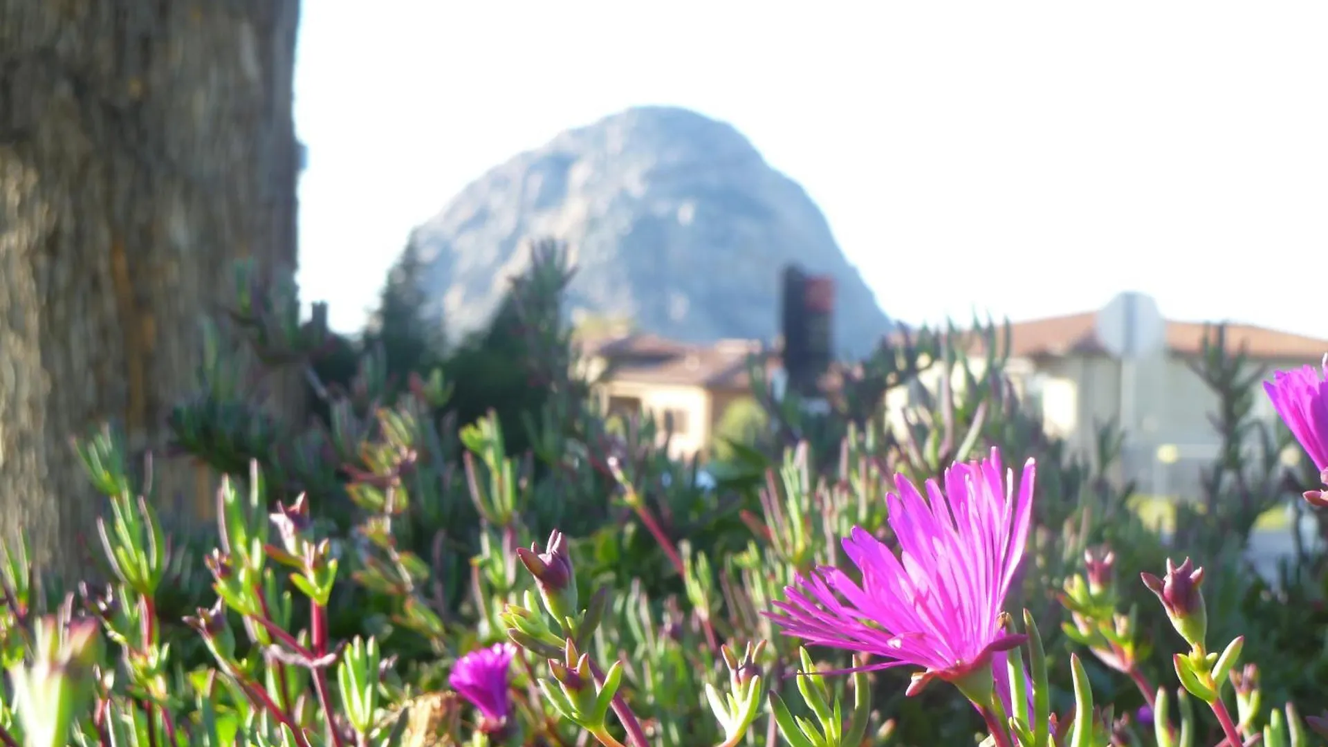 Where to Stay Near Morro Bay State Park: 5 Best 2-Star Hotels